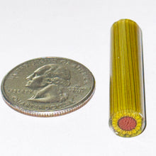 Load image into Gallery viewer, Dave Strobel Sunflower Cane