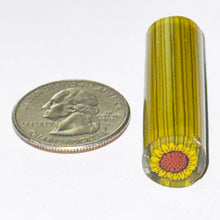 Load image into Gallery viewer, Dave Strobel Sunflower Cane