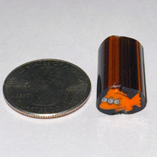 Load image into Gallery viewer, Dave Strobel Blinky Cane