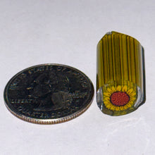 Load image into Gallery viewer, Dave Strobel Sunflower Cane