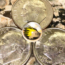 Load image into Gallery viewer, Beth James Terp Pearls