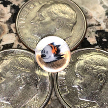 Load image into Gallery viewer, Beth James Terp Pearls