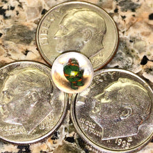 Load image into Gallery viewer, Beth James Terp Pearls