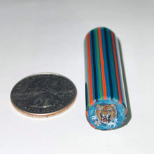 Load image into Gallery viewer, Stephen Boehme Tiger Cane