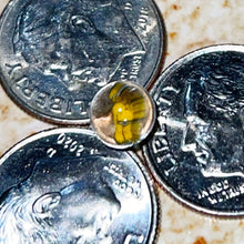 Load image into Gallery viewer, Beth James Terp Pearls