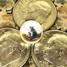 Load image into Gallery viewer, Beth James Terp Pearls