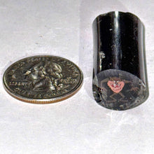 Load image into Gallery viewer, Jesse Taj Tasmanian Devil Cane
