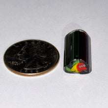 Load image into Gallery viewer, Dave Strobel Rasta Blinky Cane
