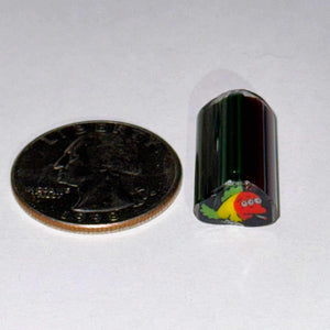 Dave Strobel Rasta Blinky Cane