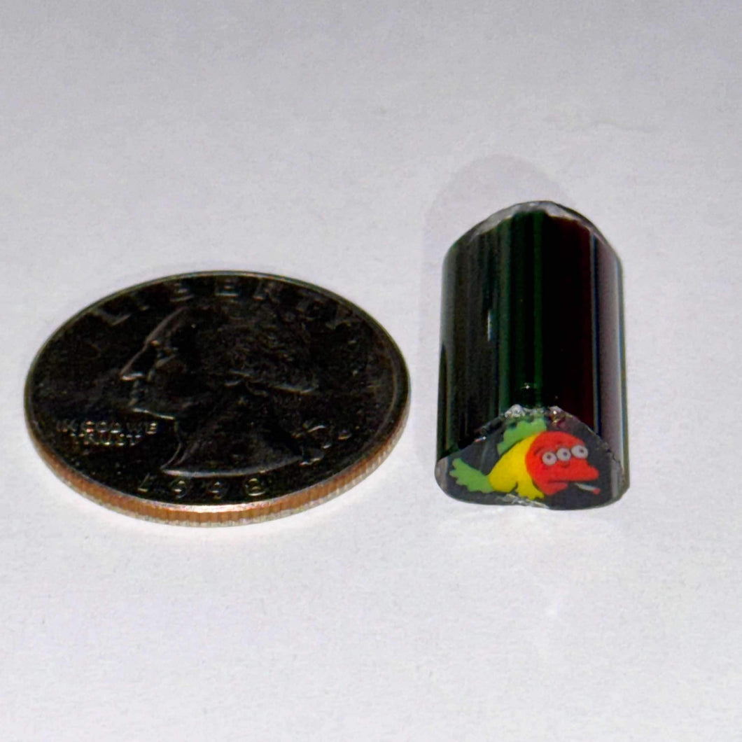 Dave Strobel Rasta Blinky Cane