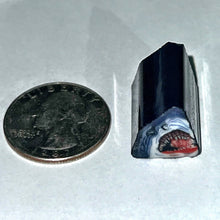 Load image into Gallery viewer, Brandon Kainz Jaws v2 Cane
