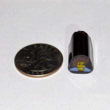 Load image into Gallery viewer, Jerry Kelly Disco Stu v1 Cane
