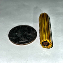 Load image into Gallery viewer, Stephen Boehme Sunflower Cane
