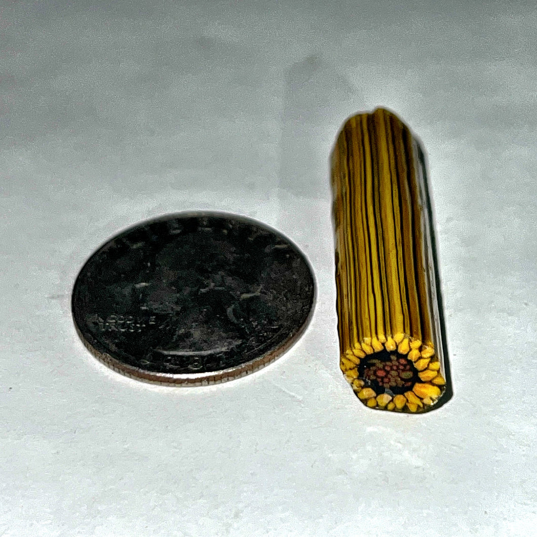 Stephen Boehme Sunflower Cane