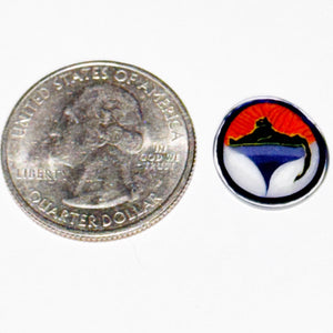 Kevin O’Grady Cat Under The Stars Coin
