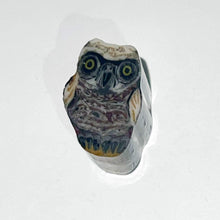 Load image into Gallery viewer, Stephen Boehme Owl Cane
