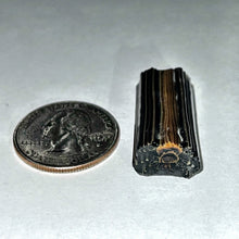 Load image into Gallery viewer, Stephen Boehme Tarantula Cane

