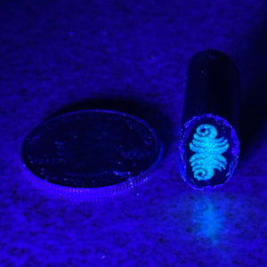 Dave Strobel Reversal Cane (Glow)