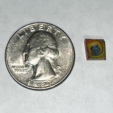Load image into Gallery viewer, Andy Buckles Bob Snodgrass Coins
