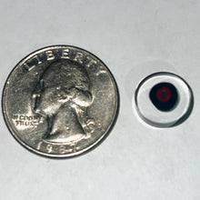 Load image into Gallery viewer, Andy Buckles Bob Snodgrass Coins
