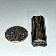 Load image into Gallery viewer, Stephen Boehme Tarantula Cane
