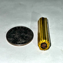 Load image into Gallery viewer, Stephen Boehme Sunflower Cane
