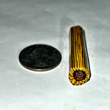 Load image into Gallery viewer, Stephen Boehme Sunflower Cane
