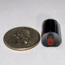 Load image into Gallery viewer, Jesse Taj Tupac Cane
