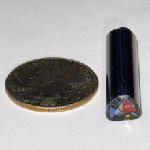 Load image into Gallery viewer, Dave Strobel Michael Phelps Blinky Cane
