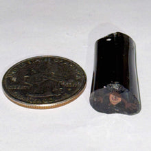 Load image into Gallery viewer, Jesse Taj Tasmanian Devil Cane
