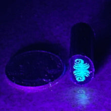 Load image into Gallery viewer, Dave Strobel Reversal Cane (Glow)

