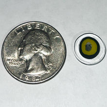 Load image into Gallery viewer, Andy Buckles Bob Snodgrass Coins
