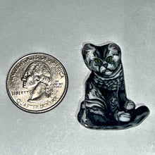 Load image into Gallery viewer, Stephen Boehme Cat Coin
