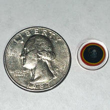 Load image into Gallery viewer, Andy Buckles Bob Snodgrass Coins
