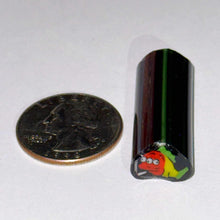 Load image into Gallery viewer, Dave Strobel Rasta Blinky Cane
