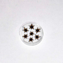 Load image into Gallery viewer, Josh Sable Stars Cluster Coin
