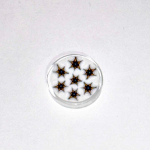 Josh Sable Stars Cluster Coin