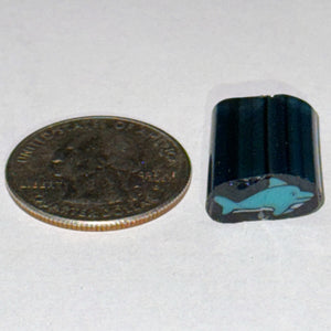 Dave Strobel Dolphin Cane