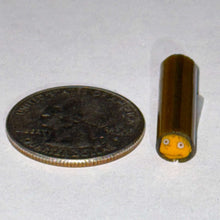 Load image into Gallery viewer, Kevin Howell Ralph Wiggum Cane
