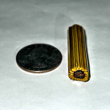 Load image into Gallery viewer, Stephen Boehme Sunflower Cane
