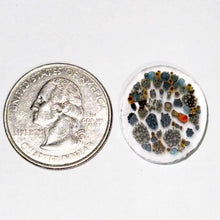Load image into Gallery viewer, Arik Krunk “Millie The 13th” Collab Coin
