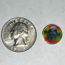 Load image into Gallery viewer, Andy Buckles Bob Snodgrass Coins
