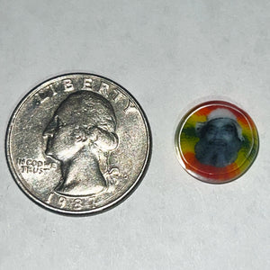 Andy Buckles Bob Snodgrass Coins