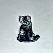 Load image into Gallery viewer, Stephen Boehme Cat Coin
