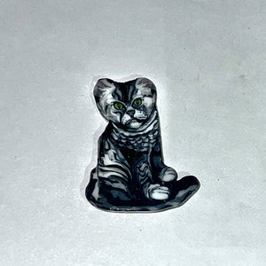 Stephen Boehme Cat Coin