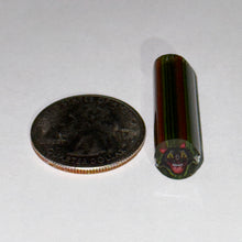 Load image into Gallery viewer, Stephen Boehme Black Cat Cane w/UV
