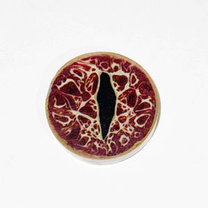 Ryan Fitt x Clinton Roman Dragon Eye Coin