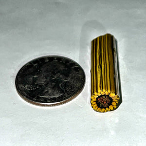 Stephen Boehme Sunflower Cane