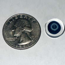 Load image into Gallery viewer, Andy Buckles Bob Snodgrass Coins
