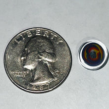 Load image into Gallery viewer, Andy Buckles Bob Snodgrass Coins
